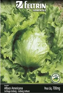 Semente de alface americana